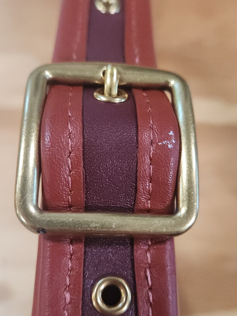 Coach Ergo In Colorblock - Picture 10 of 14